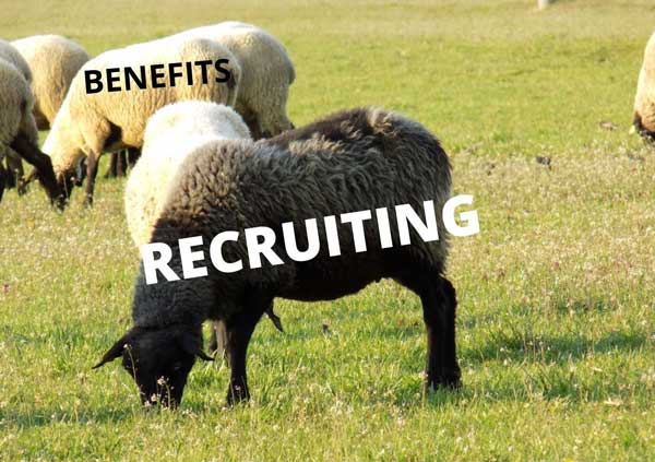 black-sheep-recruiting